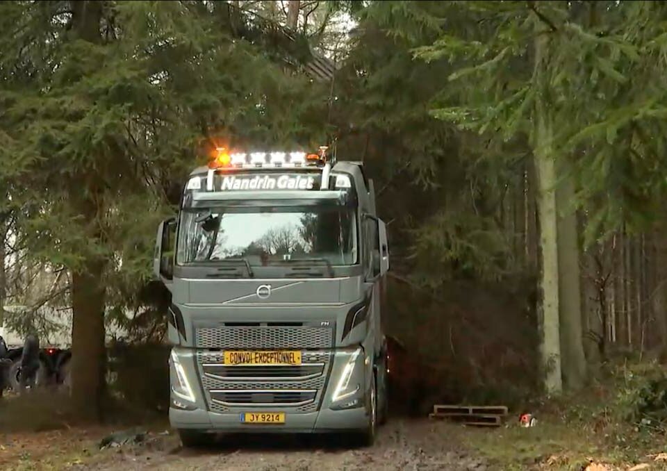 Les transports Nandrin Galet transportent le sapin de Noël destiné au palais Royal. cet épicea de 25 mètres provient des bois d'Assesse